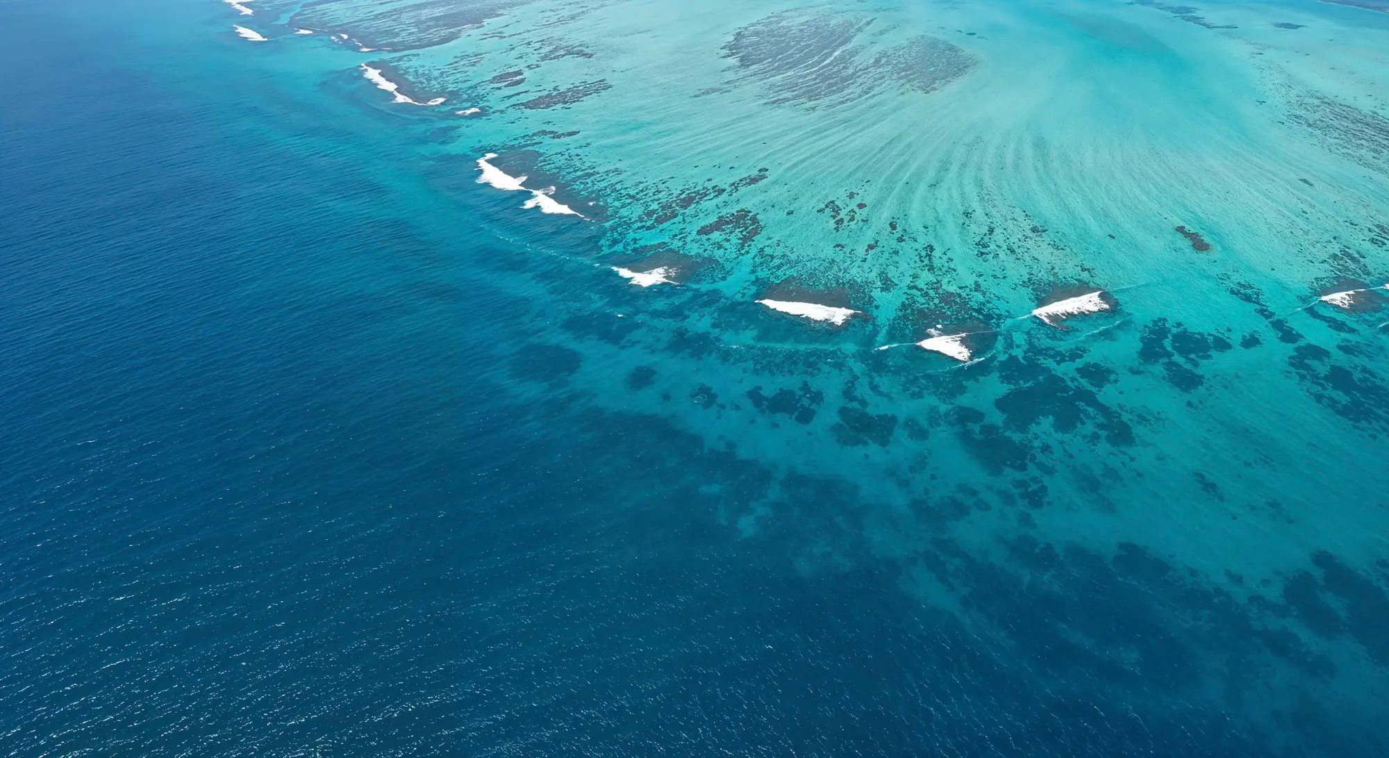 Islamorada Luxe Charters boat charter booking interface