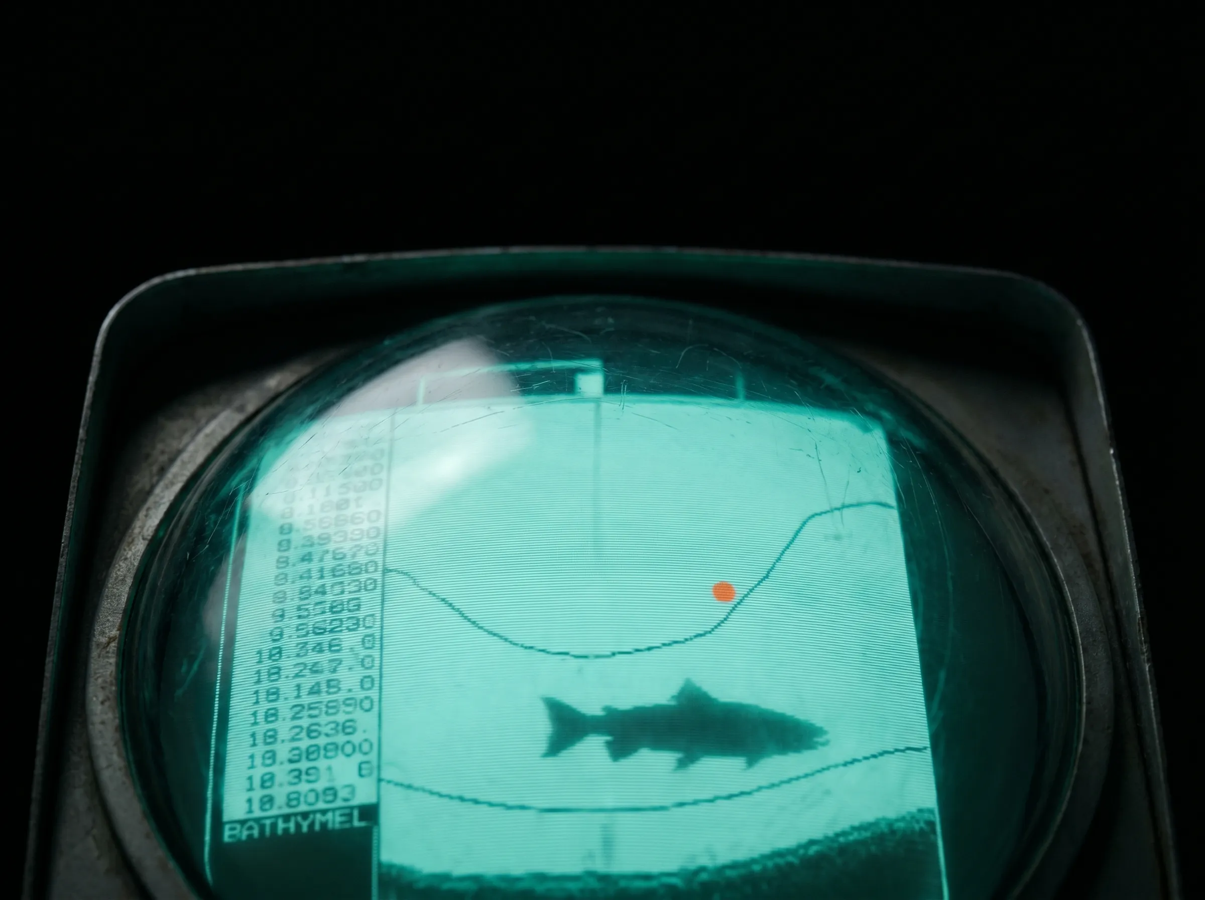 FishIntel.ai fishing intelligence platform dashboard